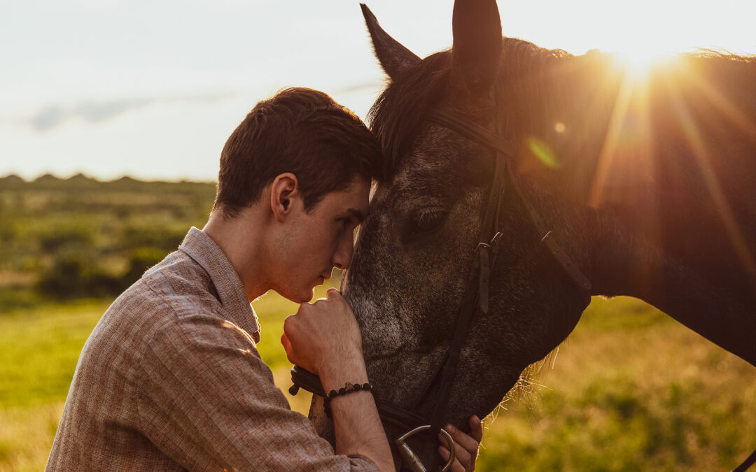 Using Equine Therapy as Mental Health Treatment