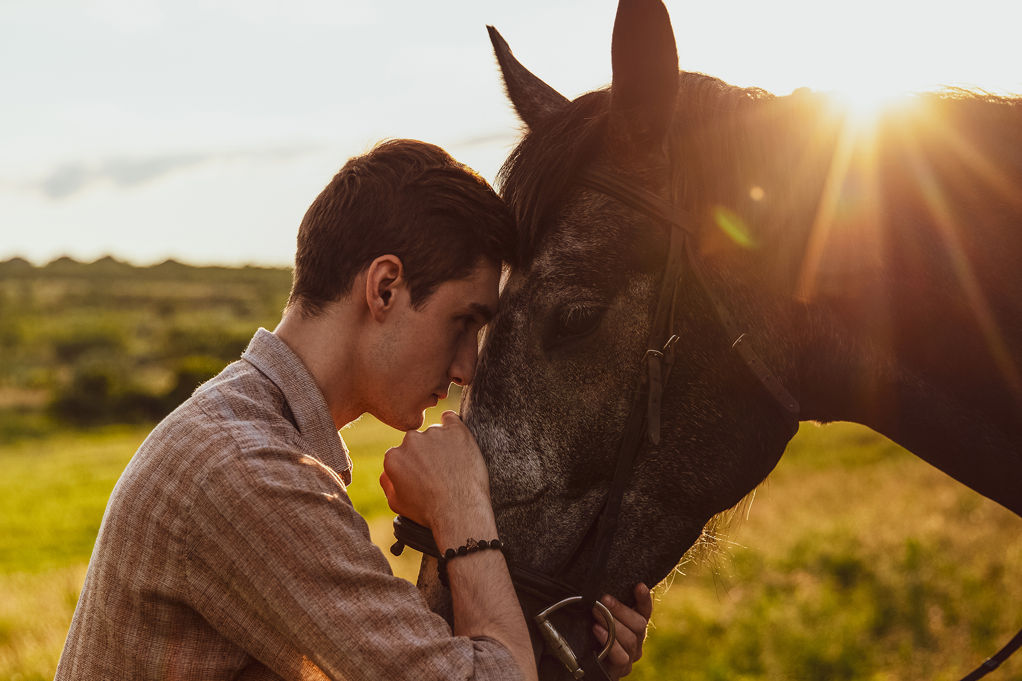 Using Equine Therapy as Mental Health Treatment