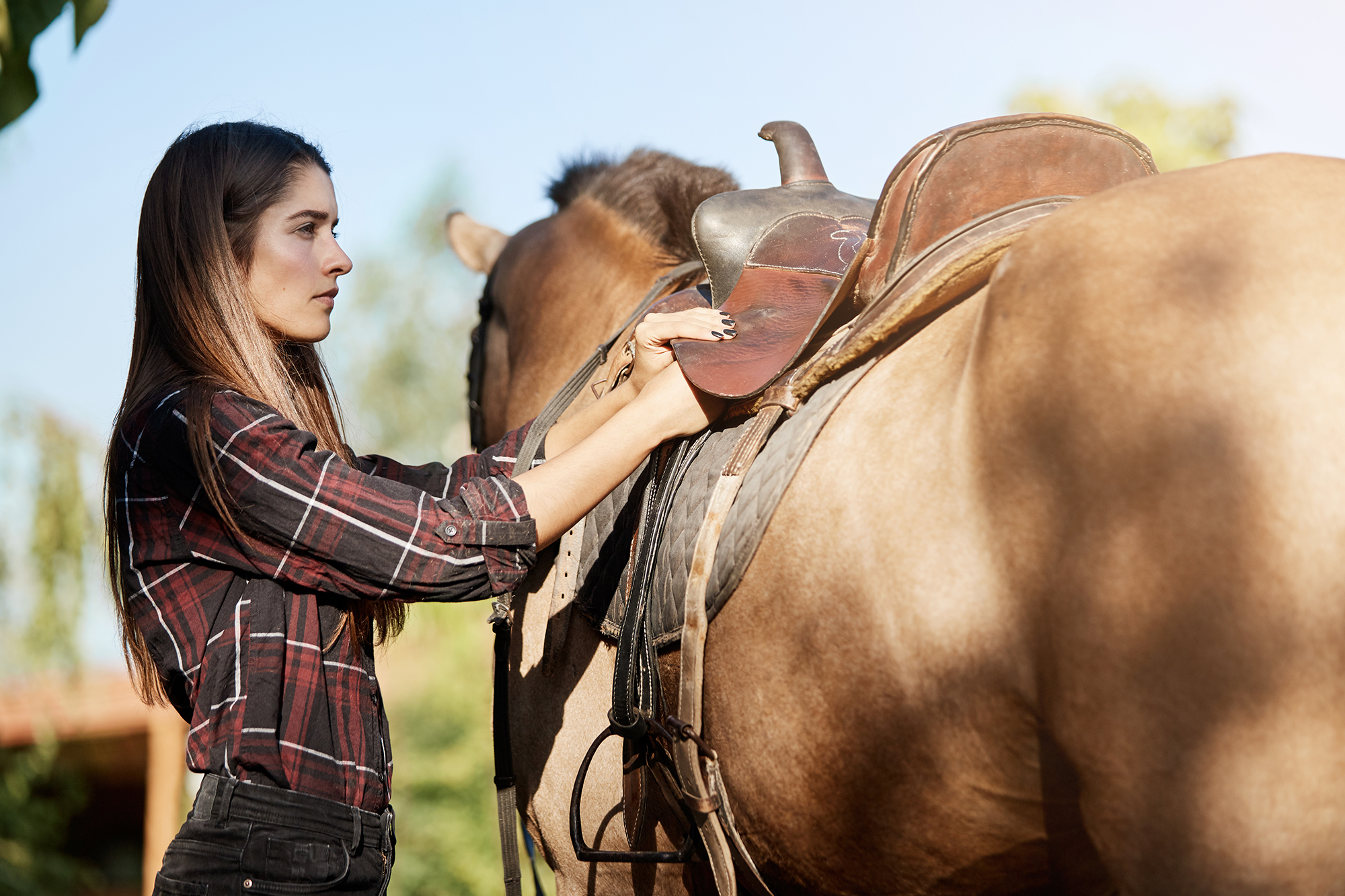 Pilot Study of the Influence of Equine Assisted Therapy on Physiological and Behavioral Parameters Related to Welfare of Horses and Patients